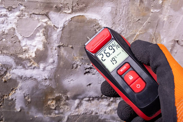 Best Mold Cleaning Services  in El Rancho, NM