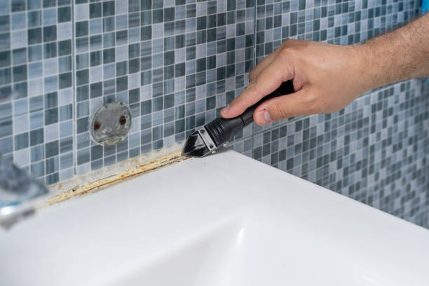Best Mold Removal Near Me  in El Rancho, NM